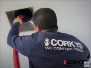 corkys-air-duct-cleaning-technician