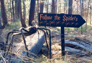 follow-the-spiders-2