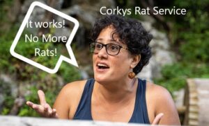 it-works-no-more-rats-woman-4676131_640