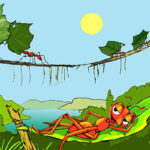 lazy-ant-in-color-on-hamock