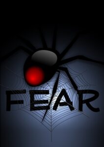 cobweb-74592_640