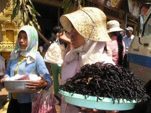 eating-insects