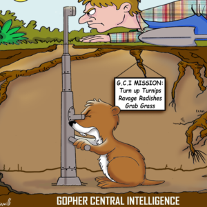 gopher-central-2