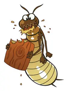 Cartoon termite eats piece of wood.