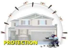 Termite protection