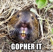 GOPHER IT - lets gopher it | Meme Generator