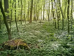 View of Devils Garden