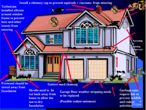 Fall Preparation to prevent insects from entering home