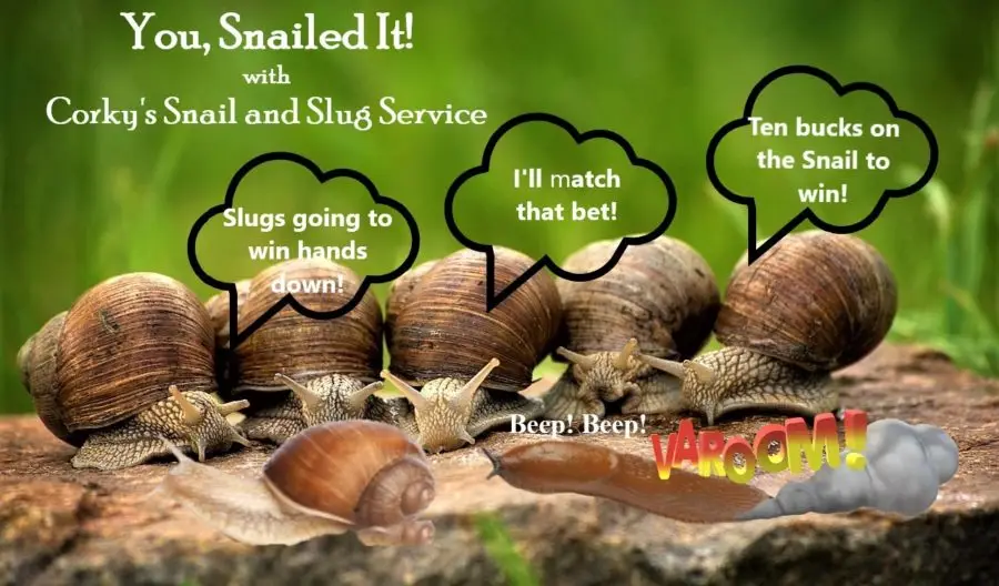 Multiple snails and slugs with speech bubbles discussing a betting game about snail racing