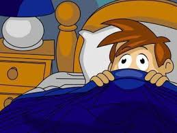 Don't sleep with bed bugs