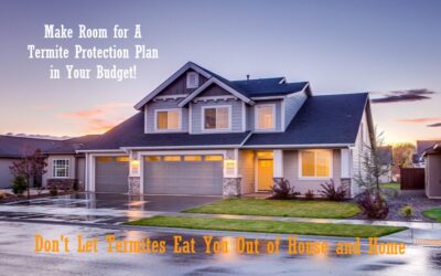 Your Household Budget Should Include – A Termite Protection Plan.