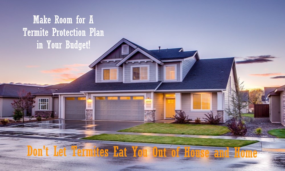 Your Household Budget Should Include – A Termite Protection Plan.