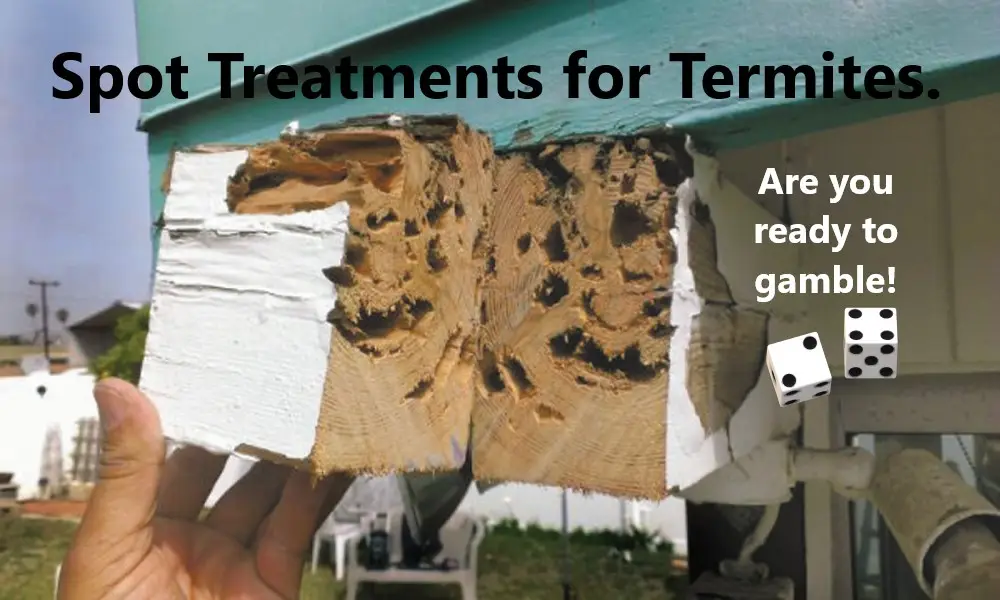 Hand holding damaged wood showing termite damage next to a house, with text about spot treatments and gambling dice