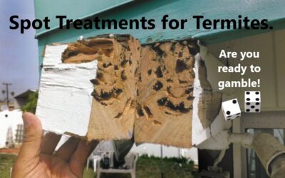 Spot Treatments for Termites, A Real Solution?