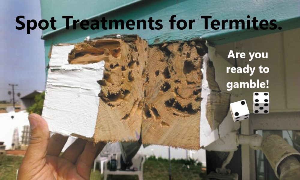 Spot Treatments for Termites, A Real Solution?