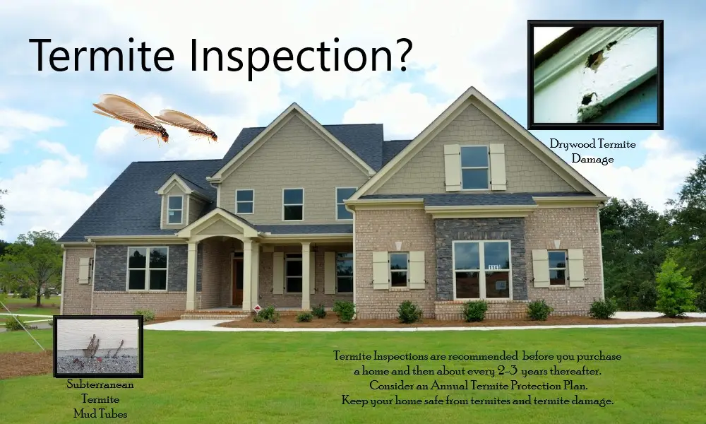 Two-story brick house with illustrated termites, wood damage, and mud tubes showing need for termite inspection