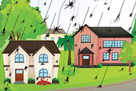 raining-spiders