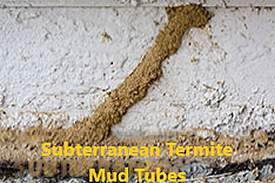 subterranean5