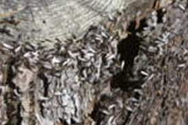 subterranean6