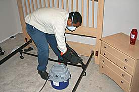 bedbugs4