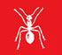THE ULTIMATE
PEST CONTROL SERVICES
Ants And Spiders Plus More