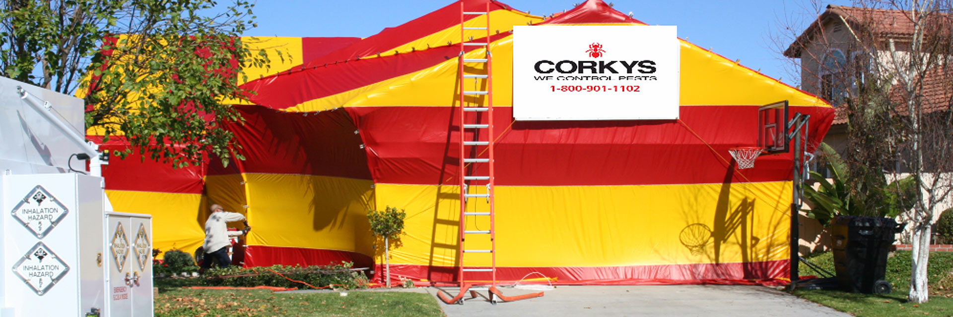 FUMIGATION SERVICES TERMITES, COCKROACHES AND BED BUGS