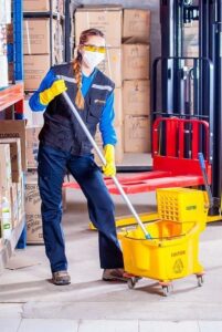  safely clean rodent infected areas