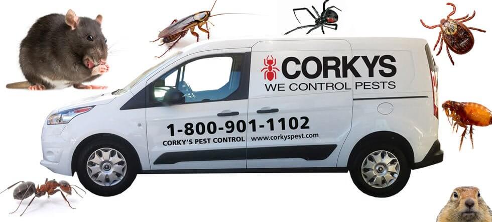 Ant Pest Control Cheap Sales Save 47 Jlcatj gob mx Ant Pest Control Cheap Sales Save 47 Jlcatj gob mx