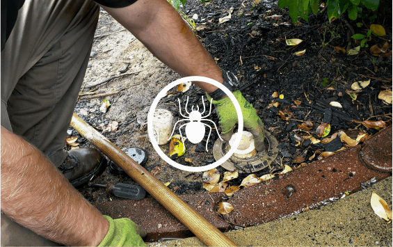 corky’s-ultimate-mobile-home-pest-control-service CORKY'S ULTIMATE MOBILE HOME PEST CONTROL SERVICE