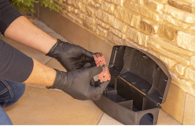 rat-control-services Rat Control Services