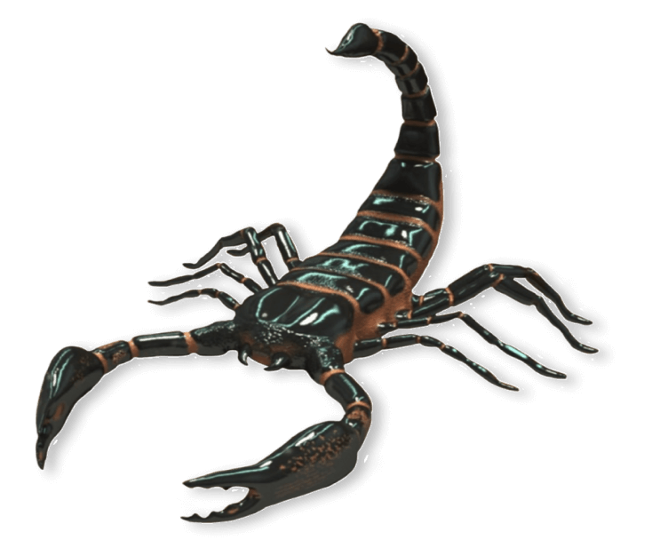 Scorpion