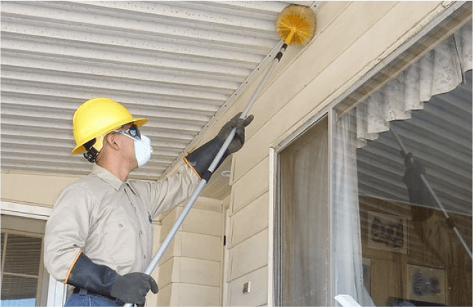 spider-web-removal Spider Web Removal