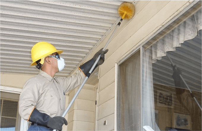 Spider Web Removal