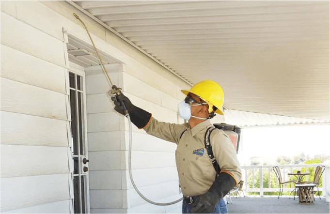 structural-treatment Structural Treatment