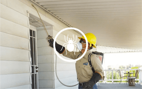 Ultimate Control Maintenance Ultimate Control Maintenance