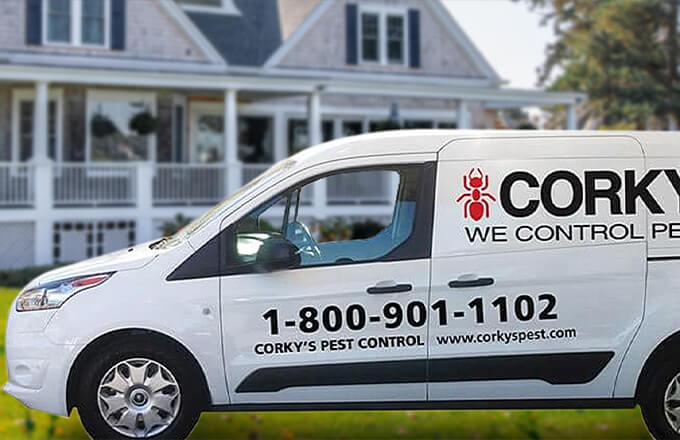 corkys truck Corkys Truck