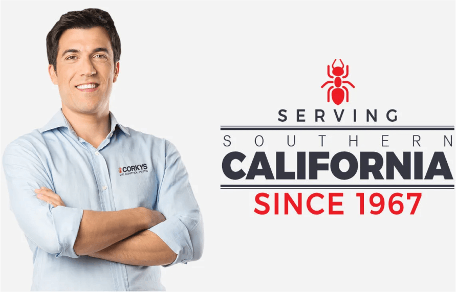 serving-southern-california-since1967 Serving Southern California Since 1967