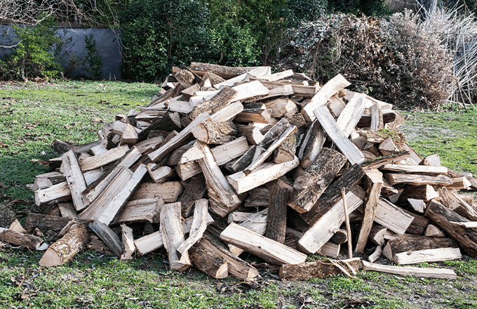 yard with wood pile