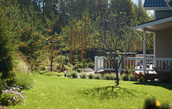 A Serene Garden Landscape Awash in Bright Sunlight, Featuring a Cozy Family Home Serene Garden