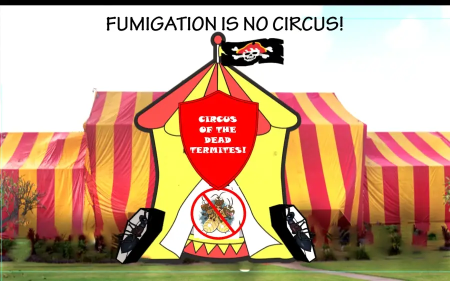 Cartoon circus tent with pirate flag and skeleton emblem labeled 'Circus of the Dead Termites' promoting pest fumigation services