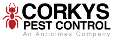 Corkys Pest Control logo featuring a red ant icon and company name with Anticimex subsidiary text