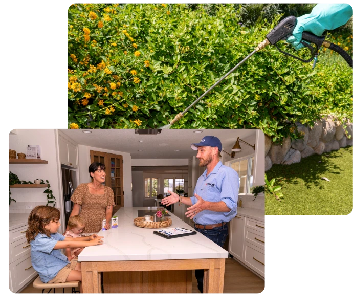 Pest control professional consulting with homeowner in kitchen while aerial view shows treated lawn above