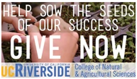 UC Riverside fundraising banner with text 'Help Sow the Seeds of Our Success' and 'Give Now' button