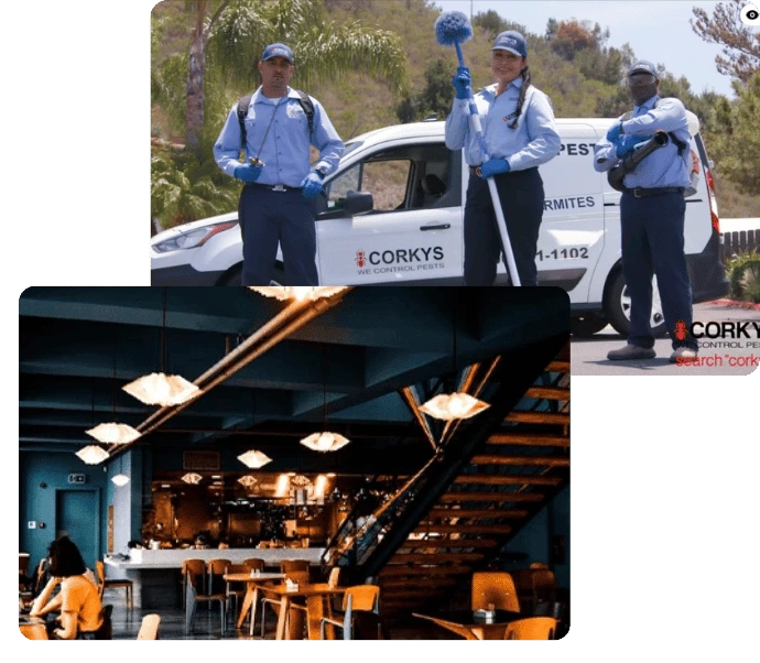 Restaurant staff members in blue uniforms standing on and around a vehicle labeled Corkys during a pest control service visit