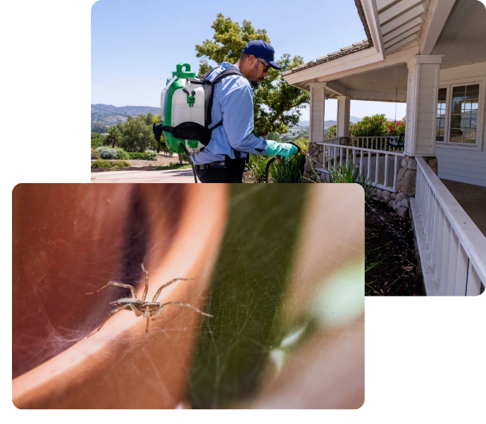 Pest control professional spraying for spiders on exterior home surfaces