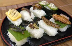 Bugs as food