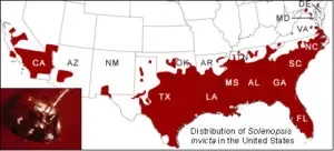 fire-ant_map