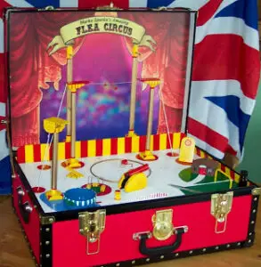 Flea Circus in case