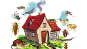 House surrounded with pests