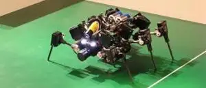 Robot insect